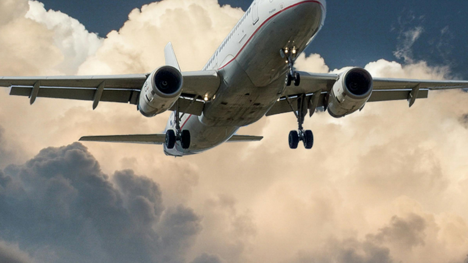 17 Ways To Connect Air Canada Customer Service: By Phone and Email Options | A Step-by-Step Detailed Guide