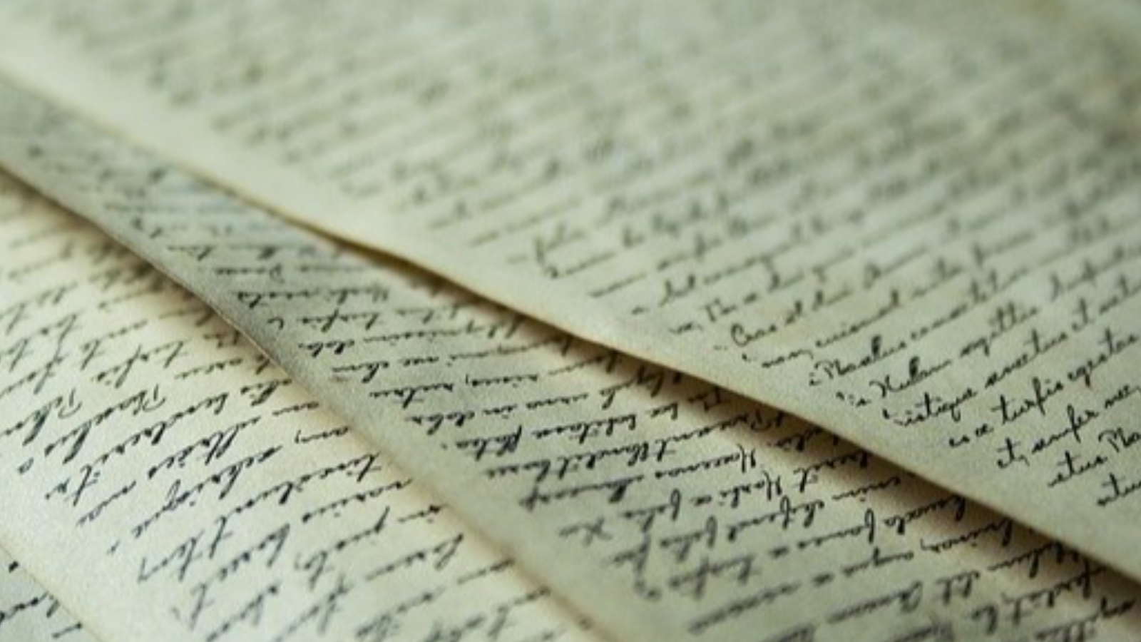 The Semester I Outsourced My Panic: A Real Look at Using Essay Writing Services